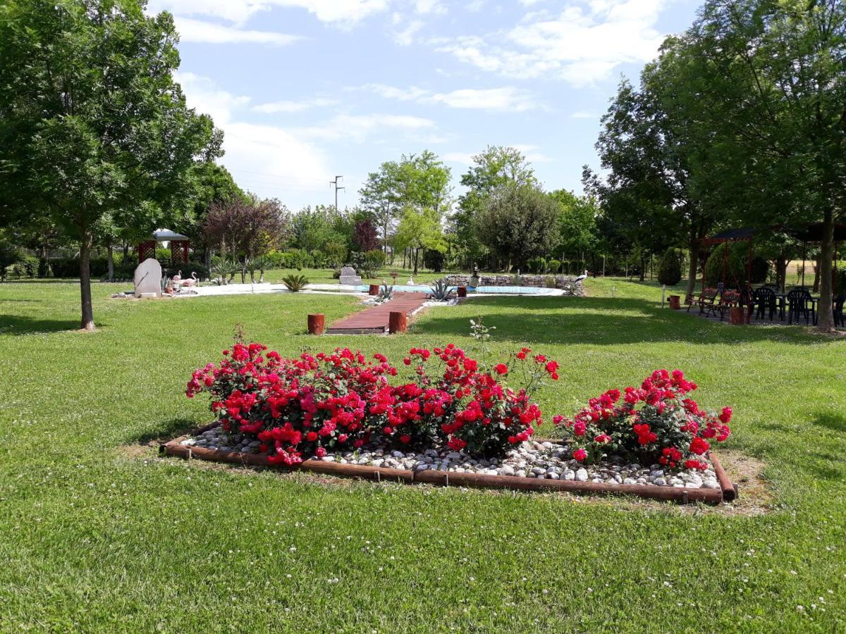 Dogana Vecchia - Hotel & Residence B&B Ristorante & Pizzeria Trivignano Udinese Exterior foto